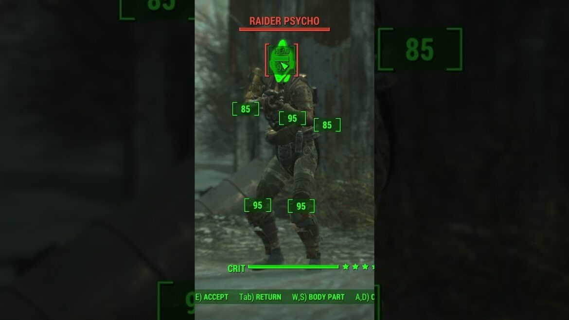 Where are you #fallout4 Raiders? – #memevideo