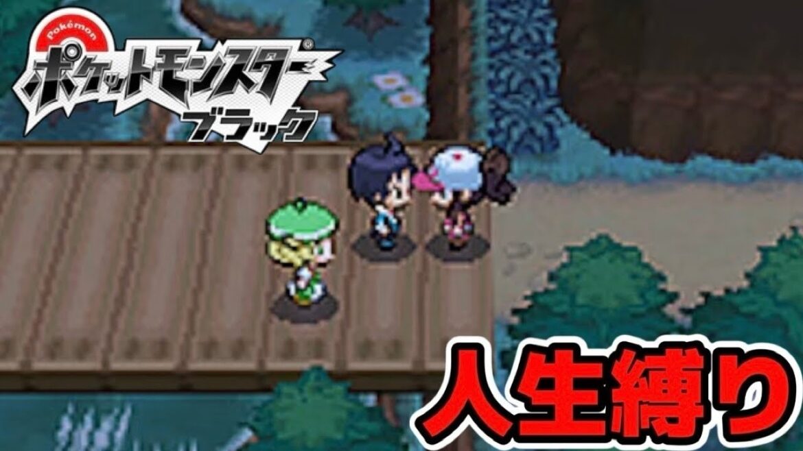 【ポケモン】N倒すぞ人生縛り【ポケットモンスターブラック】ゲーム実況#5