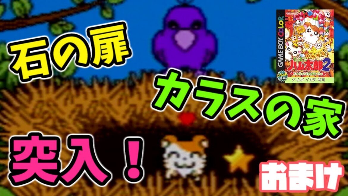 石の扉がついに開く!カラスの家へ訪問等!【とっとこハム太郎2 ハムちゃんず大集合でちゅ実況】