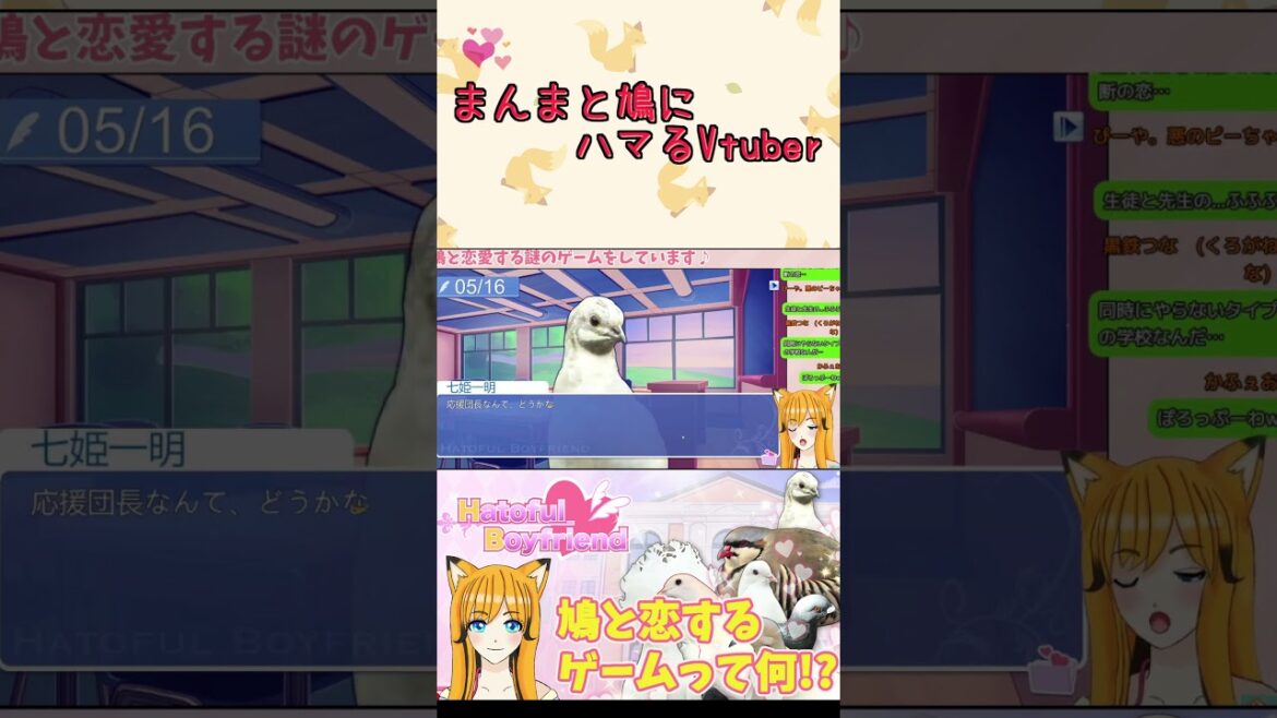 【HATOFUL BOYFRIEND】鳩と恋愛シュミレーション!?【配信切り抜き】 #shorts