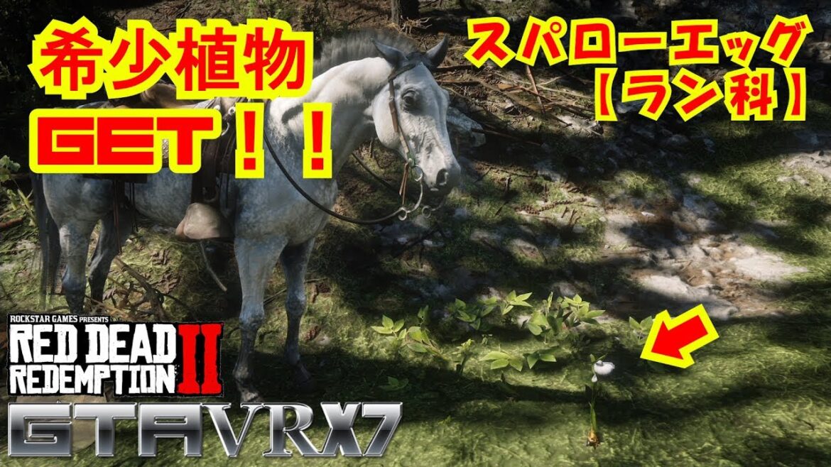 【RDR2】 part17 希少植物 スパローエッグ (ラン科) 【レッド・デッド・リデンプション2】