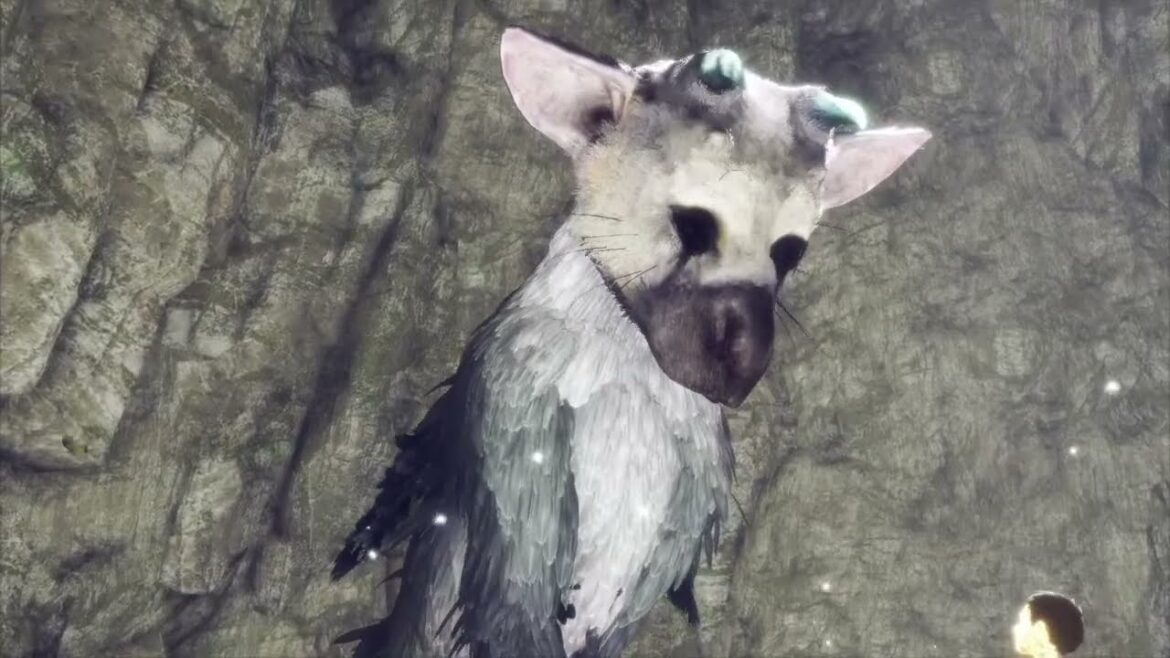 #9 トリコと一緒に潜りたいのに上手くいかない!【PS4】人喰いの大鷲トリコ【初見プレイ】