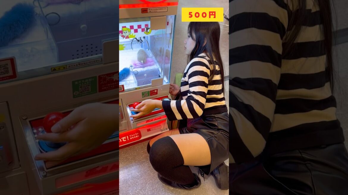 どんな格好でクレーンゲームするねんwww #Shorts