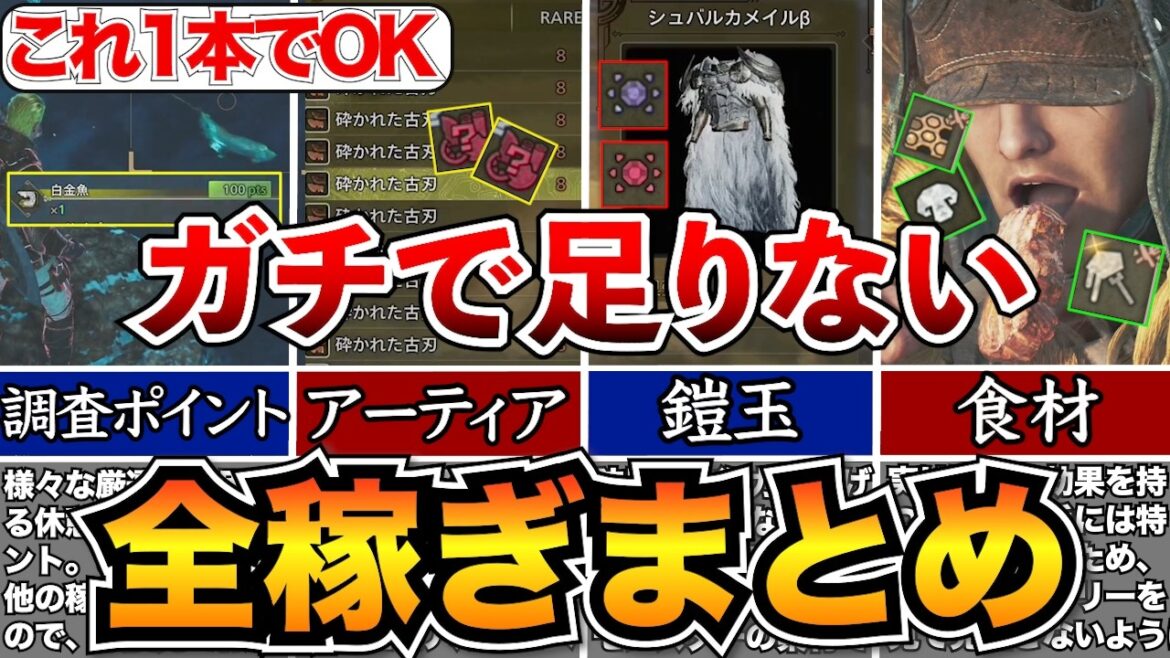 【稼ぎまとめ】結局何が良い？ナナイロカネ/鎧玉/装飾品/アーティア/ポイント/食材/滋養エキス集めの方法を全て紹介【モンハンワイルズ】