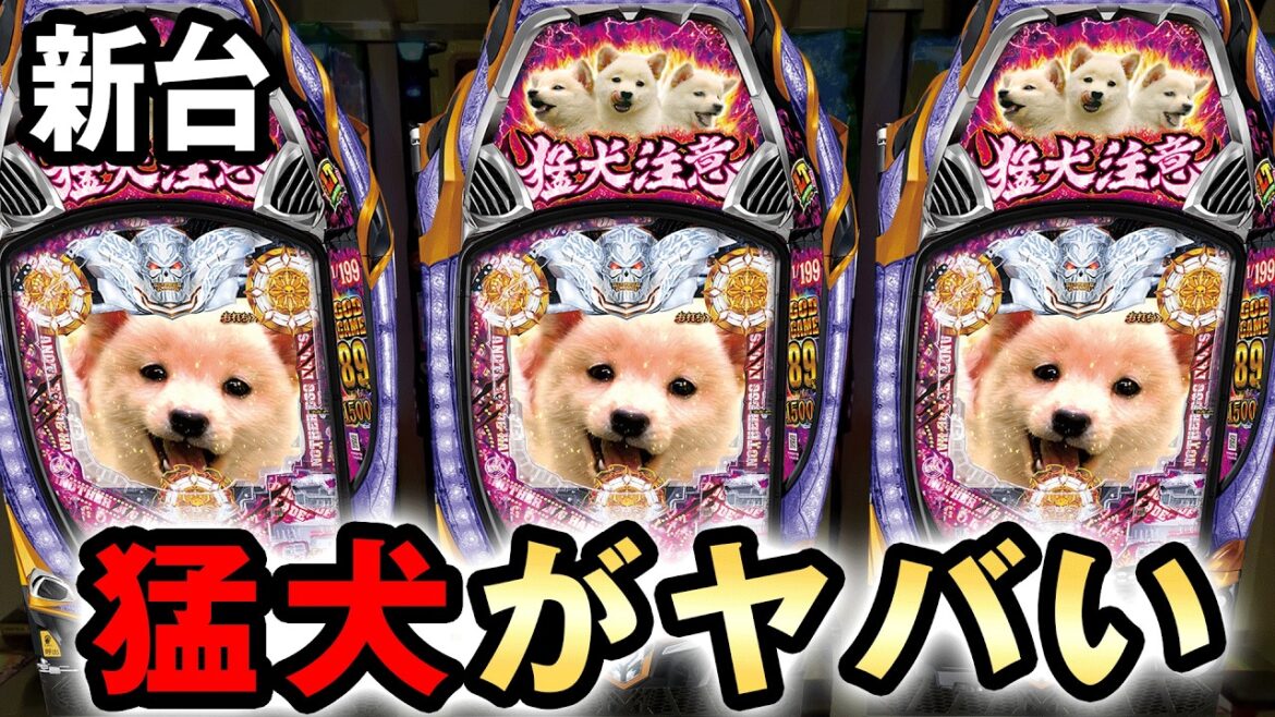 【新台】ハーデス獄炎を終日打ったら大博打でヤバい？ [アナザーゴッドハーデス 獄炎] 桜#729