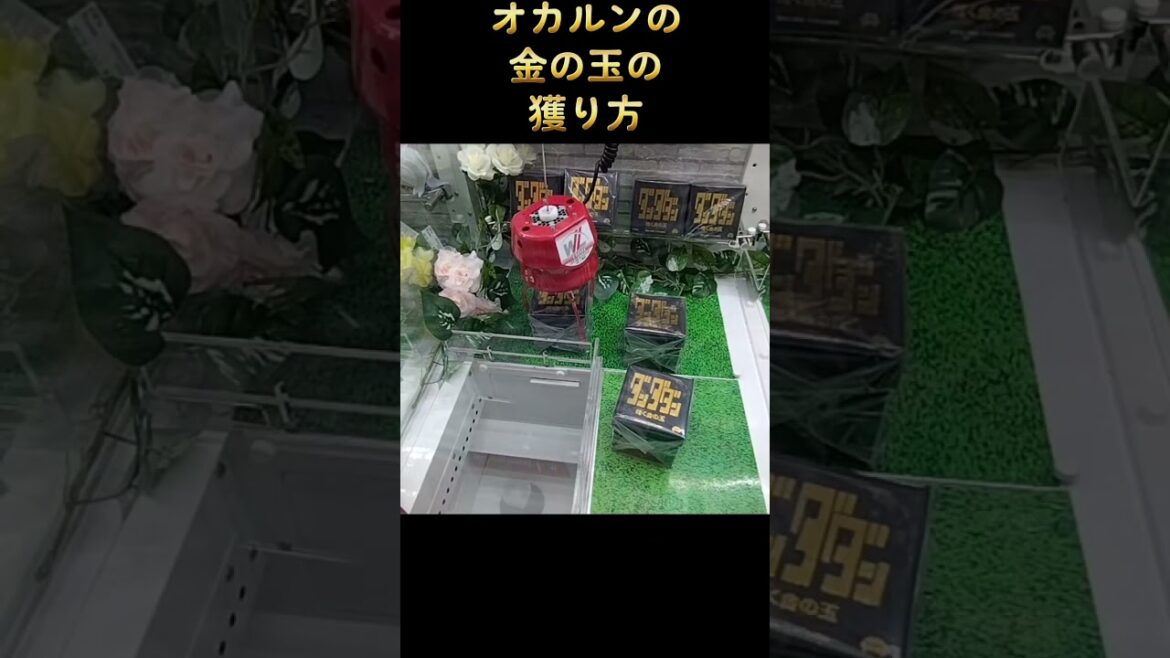 #確率機 #ゲーセン #クレーンゲーム #攻略 #ダンダダン #オカルン #金の玉 #輝く金の玉 #初期位置 タコライス  @taco storageのクレーンゲーム ゲーセンの動画  TikTok