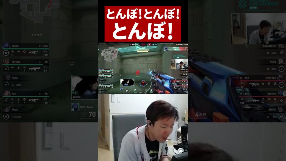 とんぼ!とんぼ!とんぼ!【ムラッシュゲーミング】 #VCJ とんぼ!とんぼ!とんぼ!【ムラッシュゲーミング】 #VCJ