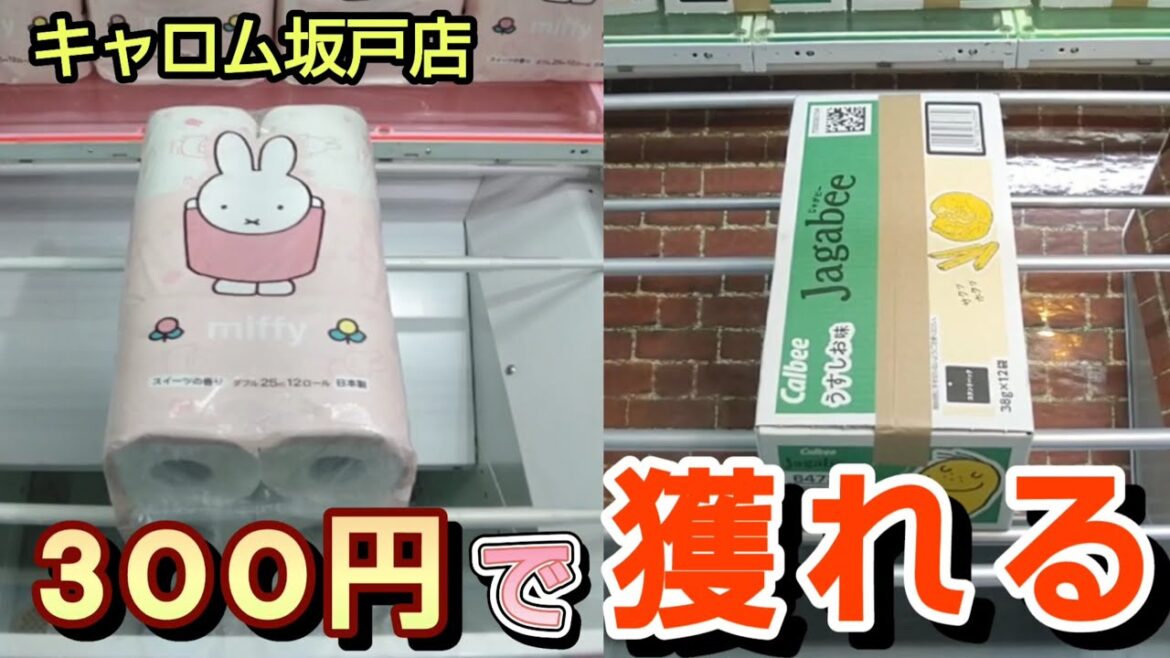 【キャロム坂戸店】クレーンゲームで300円で景品の取るコツを紹介