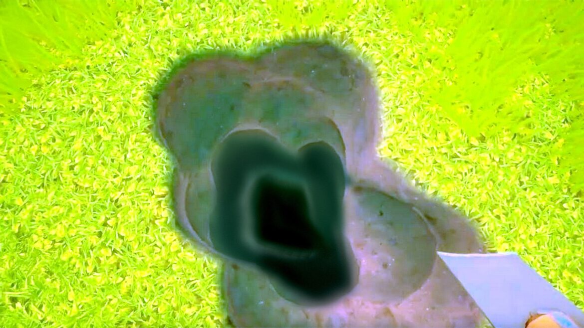 ただ穴を掘るゲーム………??? ただ穴を掘るゲーム………???