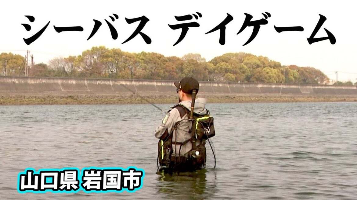 山口県岩国の河川をデイゲームオンリーで攻略 2/2 『Dz SALT 116 藤田知洋』【釣りビジョン】