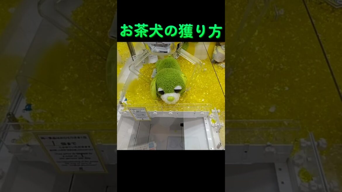 #ゲーセン #クレーンゲーム #攻略 #確率機 #お茶犬 #リョク  TikTok