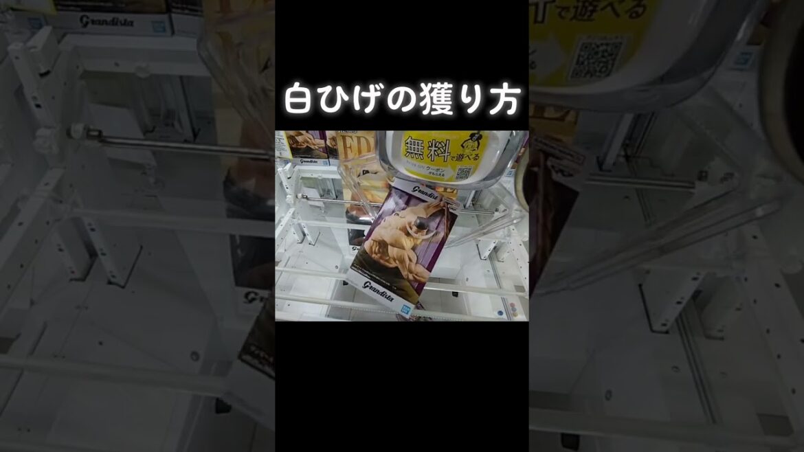 #ゲーセン #クレーンゲーム #攻略 #橋渡し #ワンピース #白ひげ  TikTok