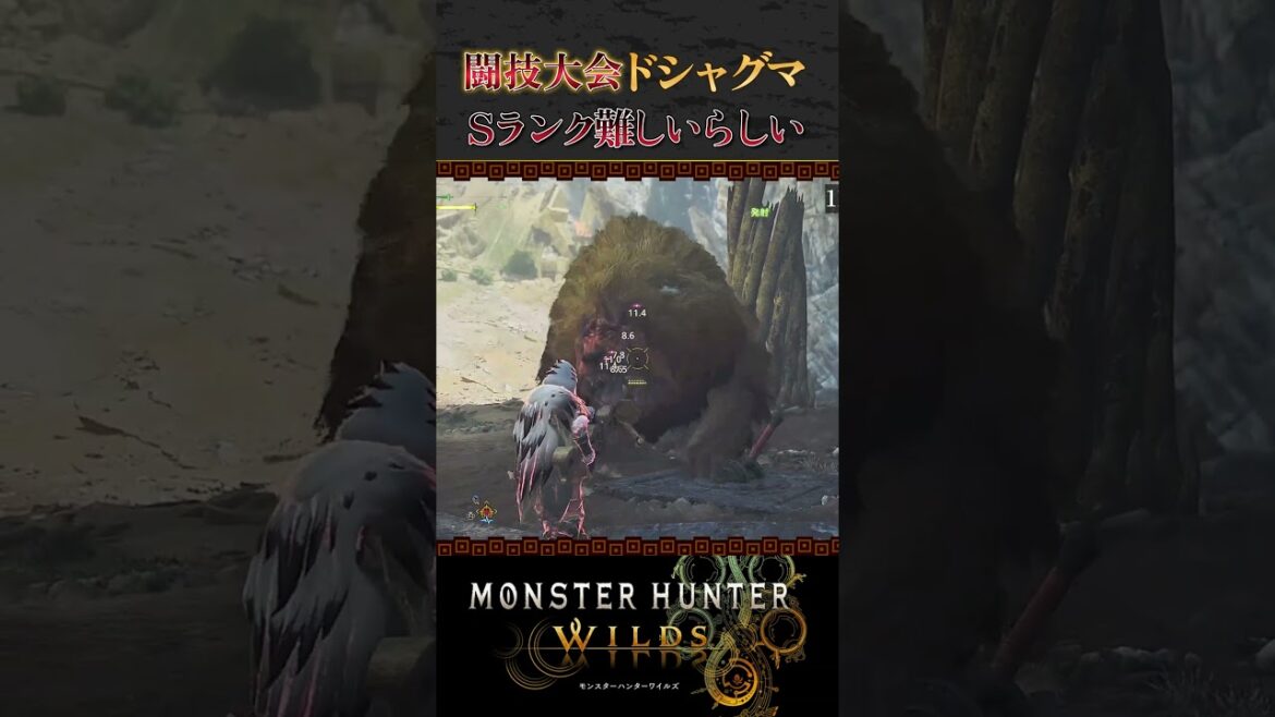 闘技大会のドシャグマがムズイらしいぞ!!【解説風もあるよ】【モンハンワイルズ】【ネタバレ注意】【初見攻略】【昏咲ネイ】【Steam版】