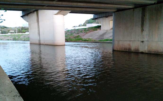 「シーバスは足で釣る！」リバーシーバスゲームで本命3匹キャッチ【千葉・村田川】