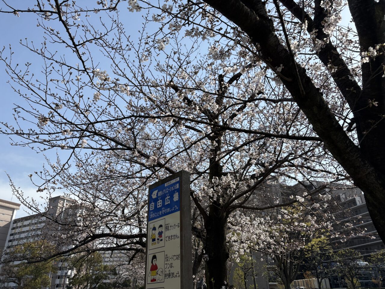 西葛西で開催されるフリーマーケット