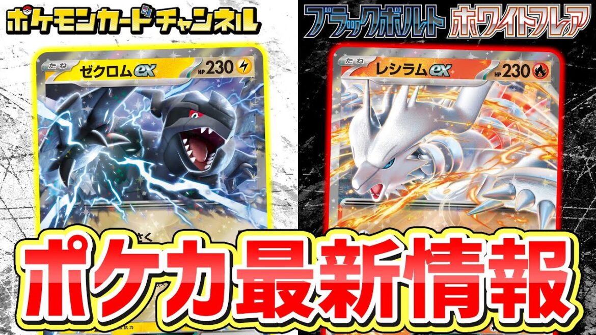 【ポケカ新弾】ゼクロムex・レシラムex登場!新パックに「イッシュ地方」のポケモンとそのAR or SARが全種収録!?【ブラックボルト/ホワイトフレア/ポケモンカード】 【ポケカ新弾】ゼクロムex・レシラムex登場!新パックに「イッシュ地方」のポケモンとそのAR or SARが全種収録!?【ブラックボルト/ホワイトフレア/ポケモンカード】