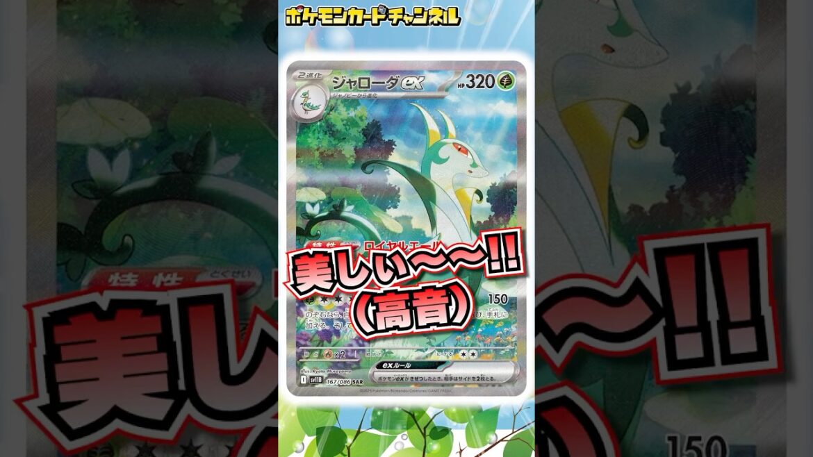 【本日初公開】美しすぎてドキッとしちゃう…！ジャローダexのSAR（スペシャルアートレア）＆ツタージャ・ジャノビーのAR（アートレア）を紹介！【ブラックボルト/ホワイトフレア/ポケカ】#Shorts