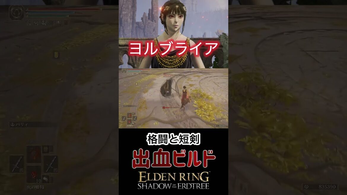 【エルデンリング】格闘短剣出血ビルド🔥ヨルブライア(フォージャー)コス #エルデンリング #スパイファミリー #ヨルブライア