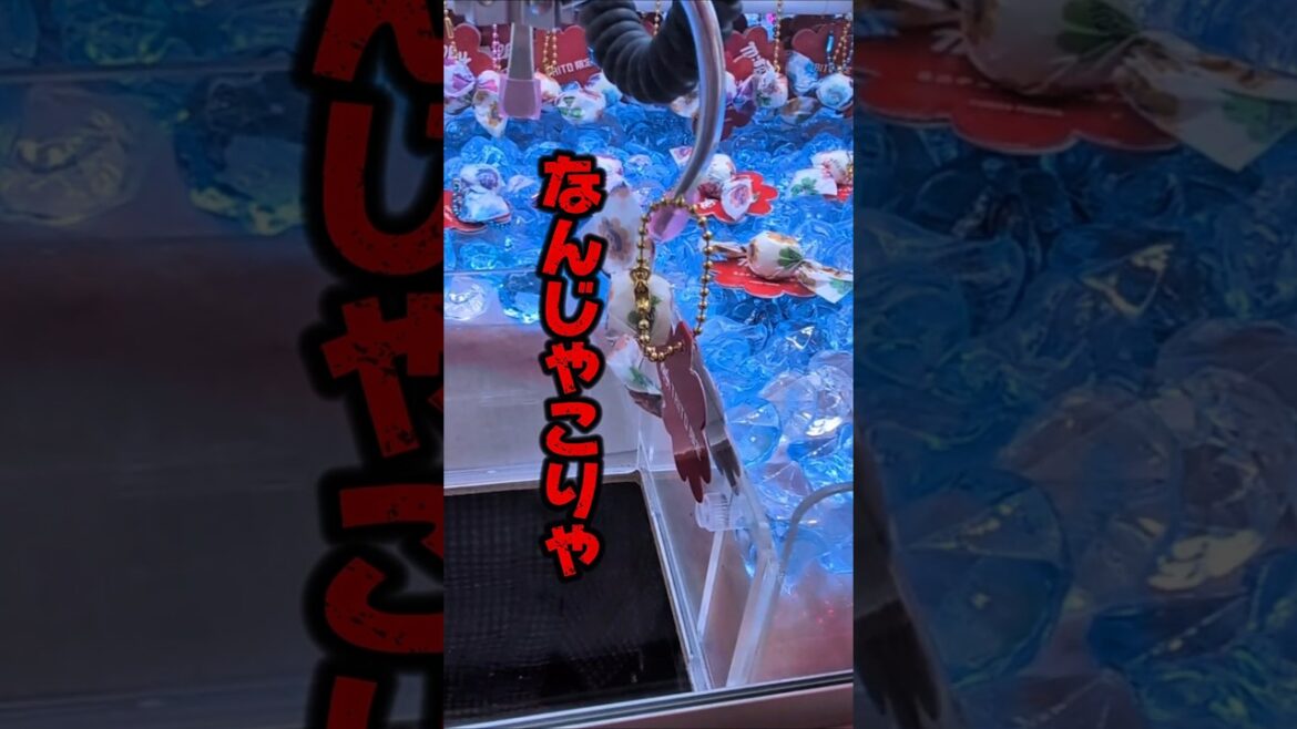 冷蔵庫にご飯ない時はゲームセンターで取るしかないですよね☺#クレーンゲーム #ufoキャッチャー #ゲームセンター #クレーンゲーム攻略