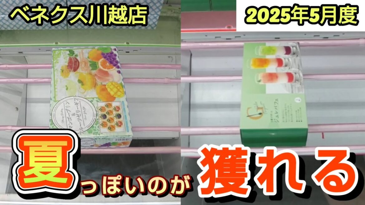 【月刊ベネクス川越店】クレーンゲーム日本一獲れるお店で夏っぽい景品の取るコツを紹介 #2025年5月