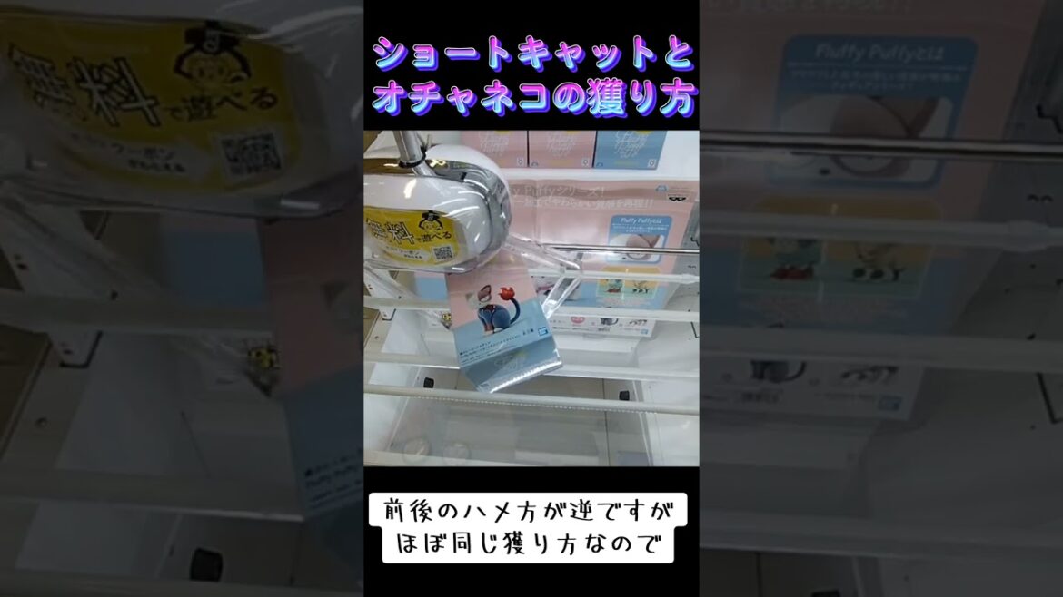 #橋渡し #攻略 #ゲーセン #クレーンゲーム #僕のヒーローアカデミア #オチャネコ #ショートキャット  TikTok