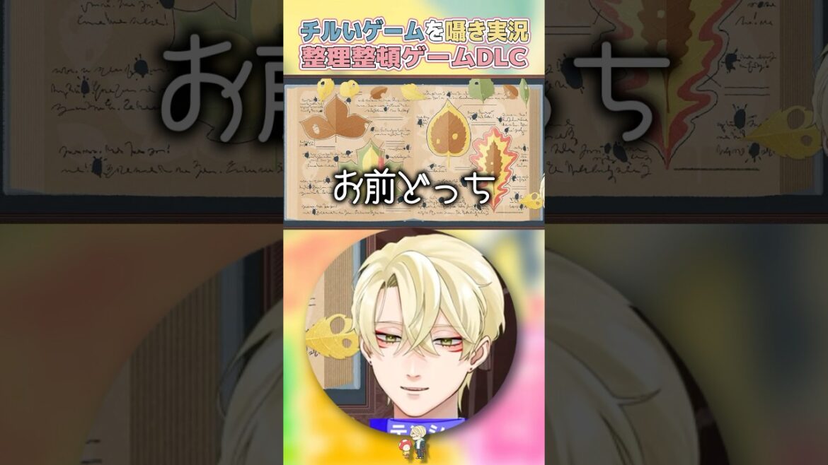 【囁き】3DSの攻略方法を試す整理整頓ゲーム【睡眠導入】 【囁き】3DSの攻略方法を試す整理整頓ゲーム【睡眠導入】