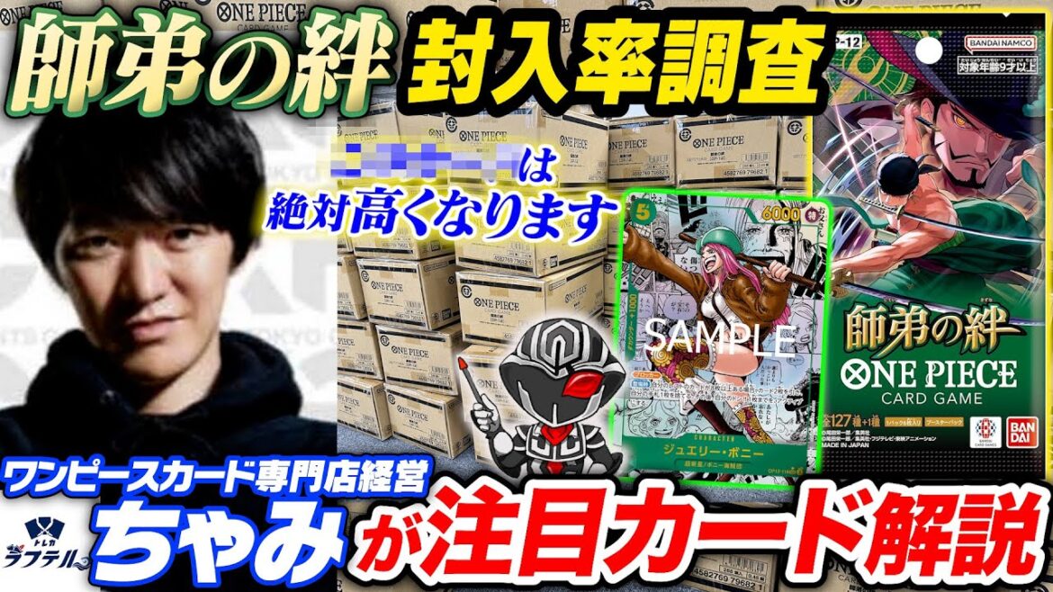 【19カートン開封】ワンピ新弾『師弟の絆』封入率調査&プロが当たりカード解説‼️コミパラ出るまで開封します🔥【ワンピースカード】