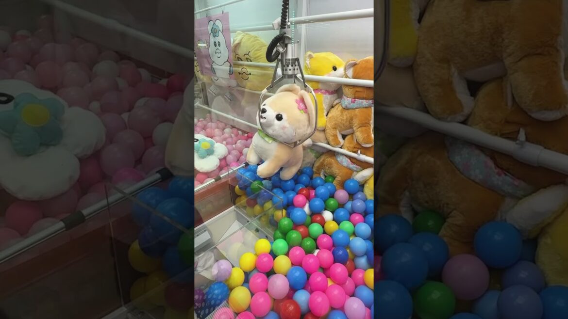 取りすぎちゃってごめんなさい🙇♂️ #shorts  #クレーンゲーム #ufoキャッチャー#ゲーセン #ゲームセンター  #arcade #clawmachine 取りすぎちゃってごめんなさい🙇♂️ #shorts  #クレーンゲーム #ufoキャッチャー#ゲーセン #ゲームセンター  #arcade #clawmachine