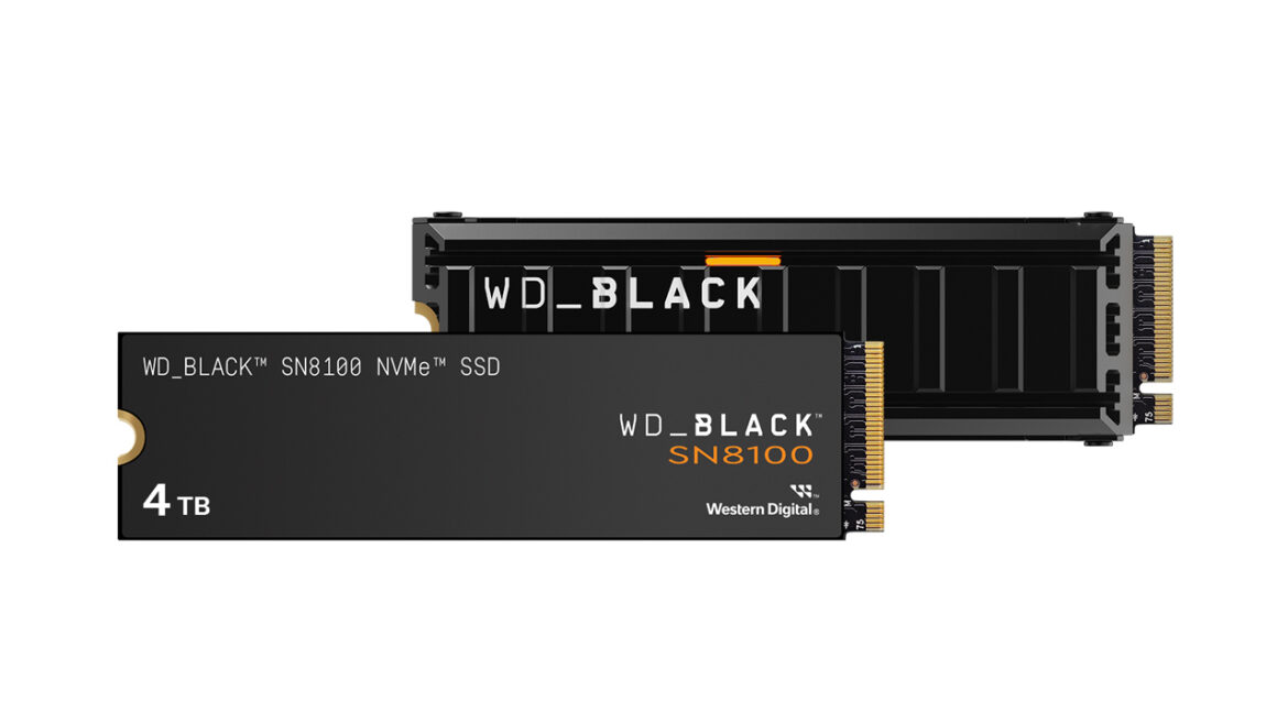 250515_WD_BLACK-SN8100_top