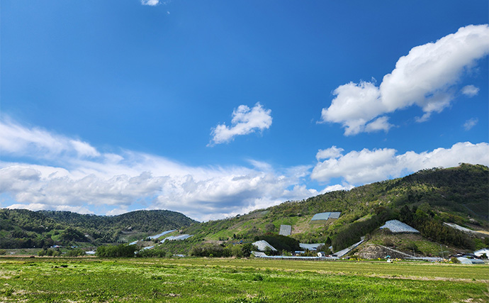 ライギョゲームで70cm級頭に本命2尾キャッチ【山形】フロッグルアーに丸見えバイト