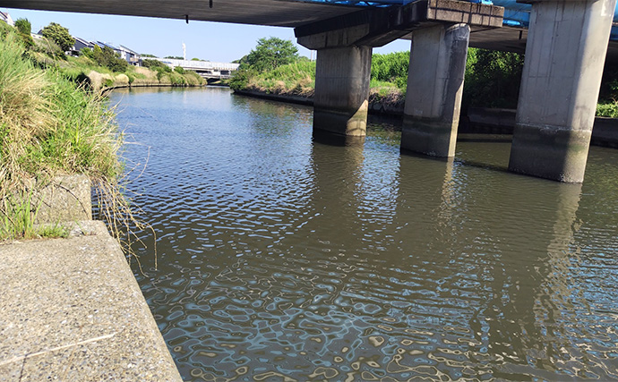 村田川デイシーバスゲームで55cm本命キャッチ【千葉】潮の動き出しでヒット