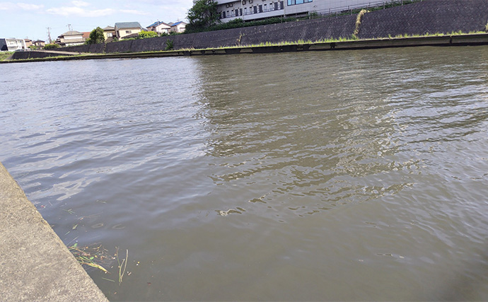 村田川デイシーバスゲームで55cm本命キャッチ【千葉】潮の動き出しでヒット