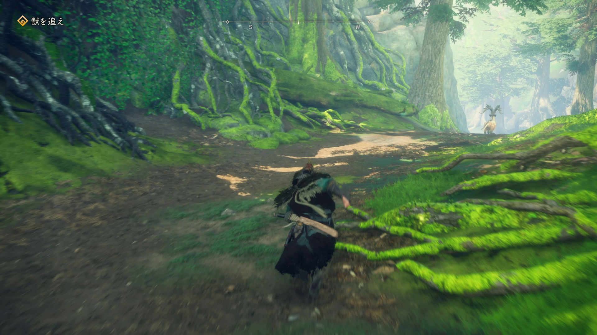 WILD HEARTSの画像