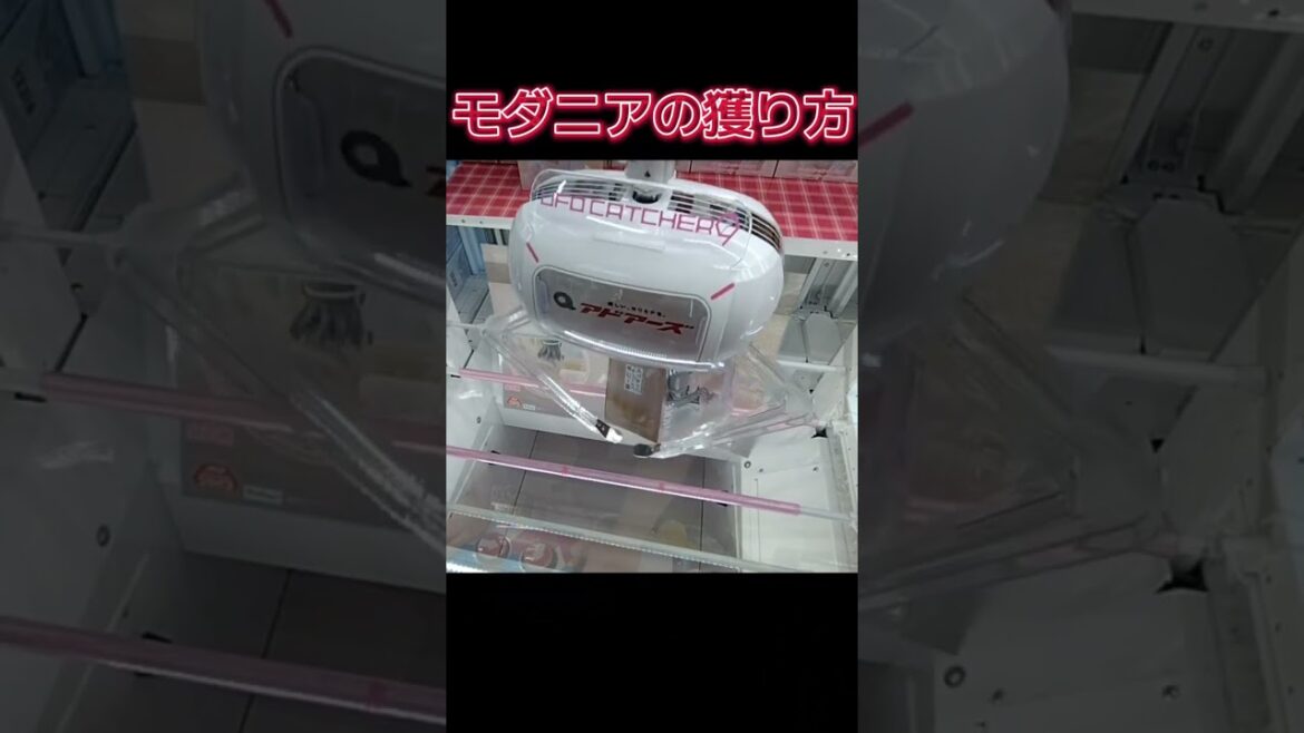 #クレーンゲーム #攻略 #ゲーセン #橋渡し #モダニア #勝利の女神nikke  クレーンゲーム 攻略  TikTok