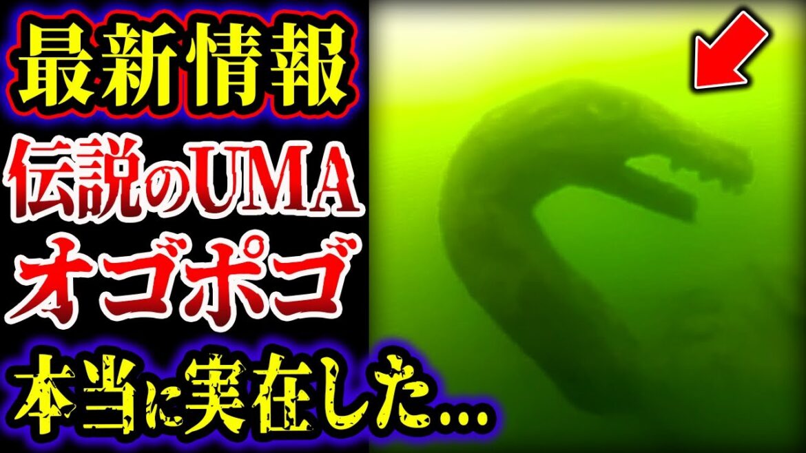 【最新情報】伝説の水棲UMAオゴポゴは実在した…!! カナダで目撃者多数カメラが捉えた怪物…正体がヤバい…!!!【UMA・未確認生物】