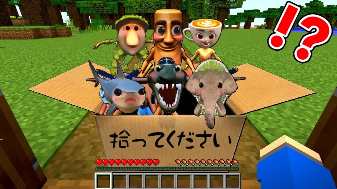 捨てられたイタリアンブレインロットの赤ちゃんを育てるマインクラフト👶🏻🍼【マイクラ】ぽっぴんず 捨てられたイタリアンブレインロットの赤ちゃんを育てるマインクラフト👶🏻🍼【マイクラ】ぽっぴんず