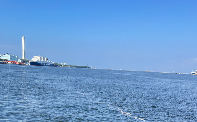 【初夏〜盛夏】沿岸部ライトゲームの遊び方 高水温期は朝夕の釣行がオススメ