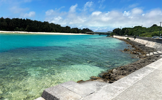 宮古島旅行の合間にライトゲームを満喫【沖縄】初魚種だらけの南国五目釣りを達成