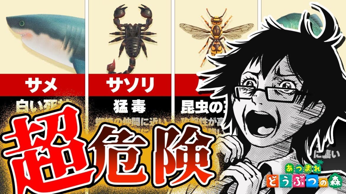【あつまれ どうぶつの森】初心者が超危険な生物しかいないビンゴしてみた
