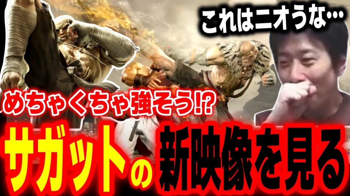 【スト6】「相当ニオうな…」めちゃくちゃ強そうな予感!新発表されたサガットの映像を見るハイタニ【SF6 ストリートファイター6】 【スト6】「相当ニオうな…」めちゃくちゃ強そうな予感!新発表されたサガットの映像を見るハイタニ【SF6 ストリートファイター6】