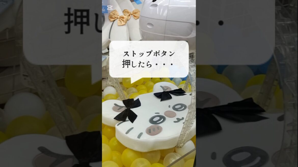 【ちい活！クレーンゲーム】　ちいかわクッション完全攻略法💜　#ちいかわ#クレーンゲームコツ#モモンガ#ぬいぐるみ#グッズ#クッション#最新#攻略#UFOキャッチャー#ちい活#吉伊卡哇#初登場#娃娃机