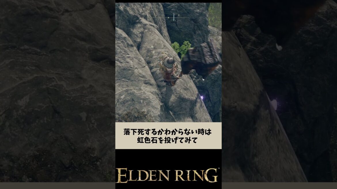 エルデンリングの雑学 #エルデンリング #shorts #eldenring #ゲーム