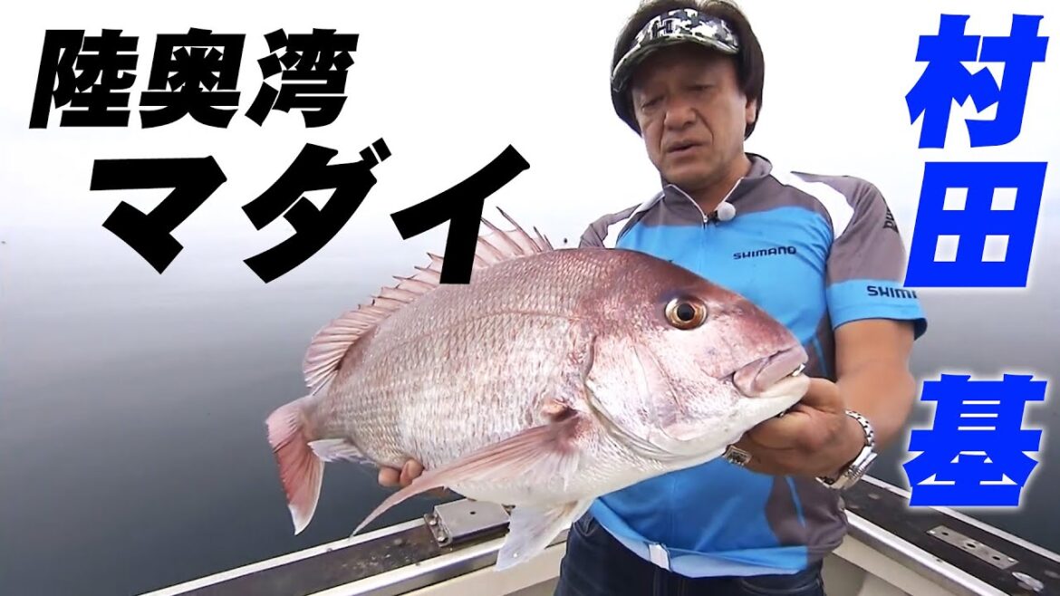 陸奥湾・夏の風物詩！ルアー×イソメで攻略するマダイゲーム！ 2/2 『魚種格闘技戦！198』【釣りビジョン】
