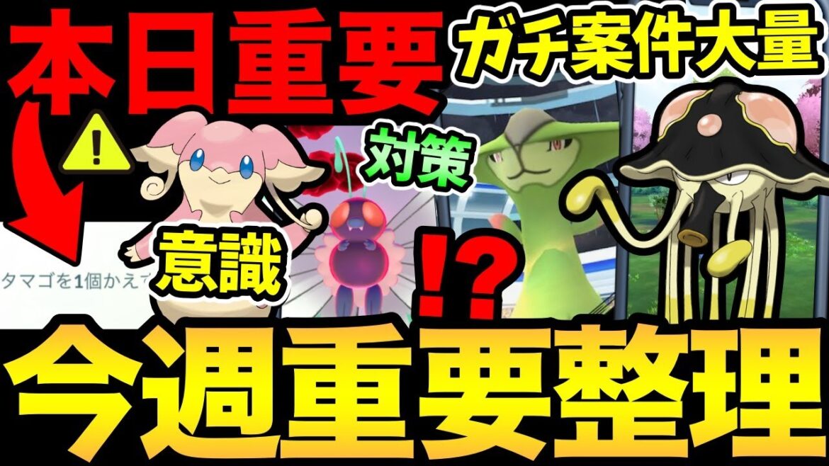 今日から次の準備が重要!お得な情報も!今週もガチ案件が大量!【 ポケモンGO 】【 GOバトルリーグ 】【 GBL 】【 キョダイマックス 】 今日から次の準備が重要!お得な情報も!今週もガチ案件が大量!【 ポケモンGO 】【 GOバトルリーグ 】【 GBL 】【 キョダイマックス 】