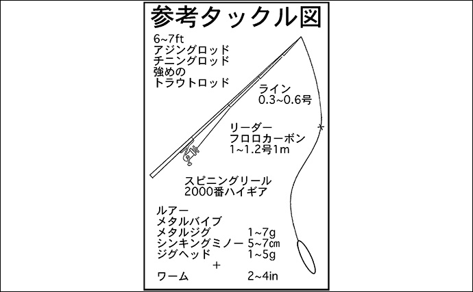 「暑さ対策も重要!」熊野灘のライトソルトゲーム完全ガイド【タックル・釣り方・注意点】