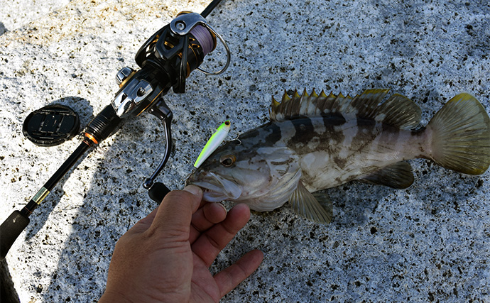 「暑さ対策も重要!」熊野灘のライトソルトゲーム完全ガイド【タックル・釣り方・注意点】