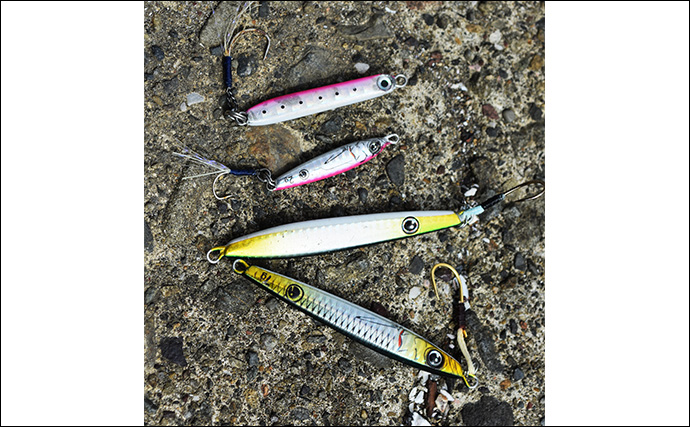 「暑さ対策も重要!」熊野灘のライトソルトゲーム完全ガイド【タックル・釣り方・注意点】