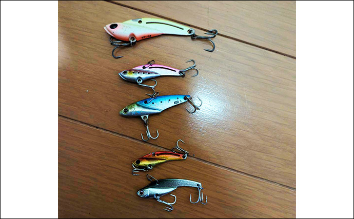 「暑さ対策も重要!」熊野灘のライトソルトゲーム完全ガイド【タックル・釣り方・注意点】