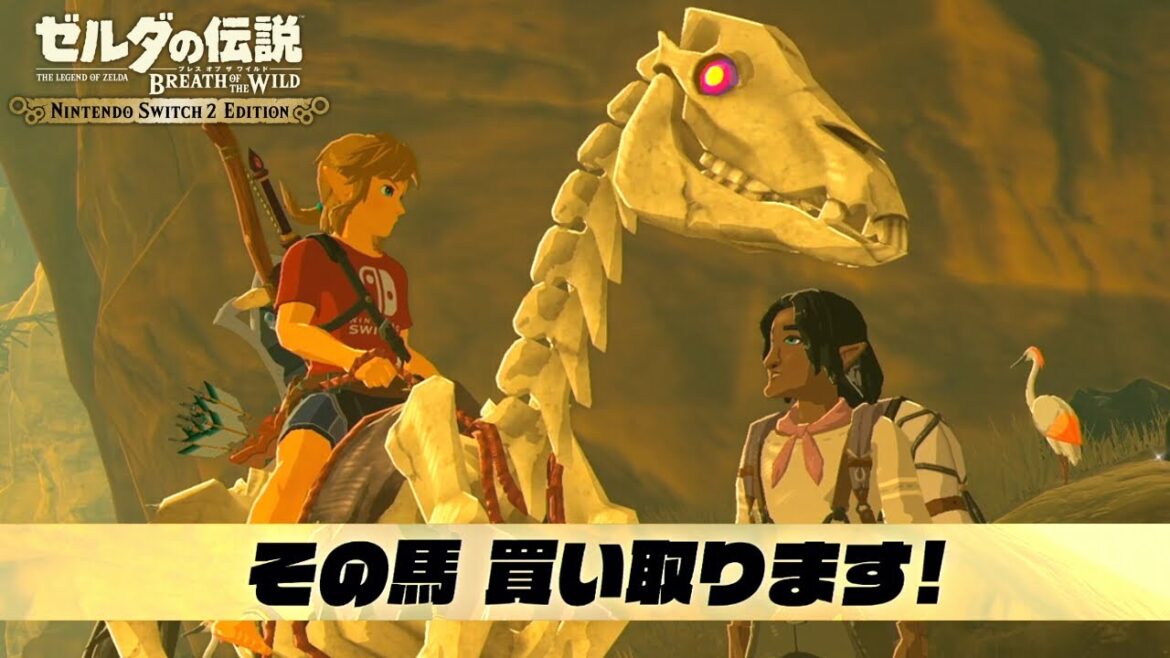 買えよ｜【Switch2】ゼルダの伝説 ブレスオブザワイルド #27