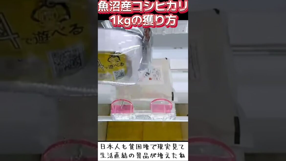 #攻略 #ゲーセン #クレーンゲーム #フック #お米 #コシヒカリ #貧困 #自民党のせい  クレーンゲーム 攻略  TikTok